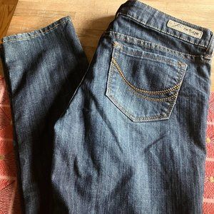 Refuge Flirty Skinny Jeans Size 8R